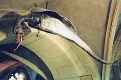 Effigy of Graoully preserved in the crypt of Saint-Etienne cathedral in Metz