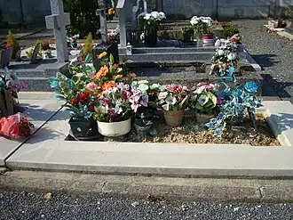Several bunches of flowers in pots placed atop a grave