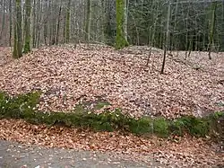 Burial mound in Bøkeskogen.