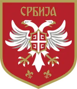 Shirt badge/Association crest