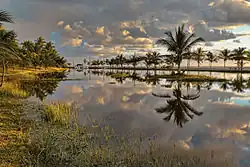 Prado at dawn, on the coast.