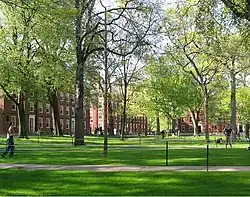 grass under trees with some buildings in the background