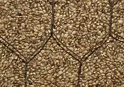 Image 36Whole hemp seeds (from Hemp)