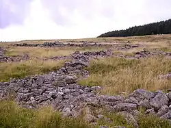 The remains of the Prehistoric settlement at Hen Drer Mynydd