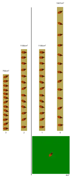 A diagram showing amount of m2 per 13 hens for different levels: from 3 (left) to 0 (right).