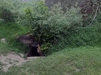 Entrance to a dugout