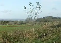 Large univallate hillfort with a bowl barrow and pillow mounds 970 m west of The Bungalow