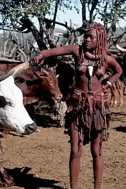 Himba girl tending cattle