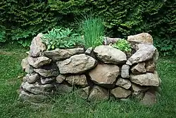 Raised garden bed with natural stones of Salvia, Chives, and Parsley.