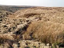 A small valley cuts through desolate moorland, under a blue sky