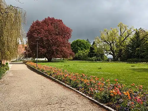 The Court Garden, April 2024