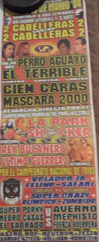 Poster for the event