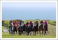 Racing at Brighton
