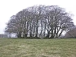 Huish Champflower Barrow