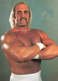 Professional wrestler Hulk Hogan