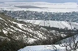 View of Hundsheim and vineyards in winter