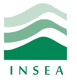 3 colored waves in grey/green