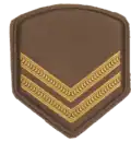 Corporal Rank - SA Army Service Dress