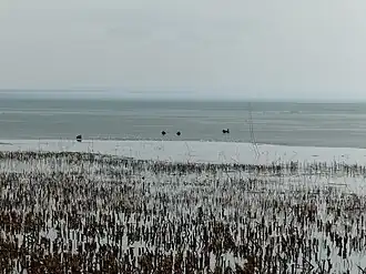 Image 30Ice melting on Lake Balaton in Hungary (from Lake)