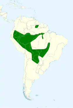 Map showing range I. croconotus
