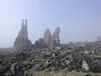 Bizzare rock pillars formed by weathering and erosion