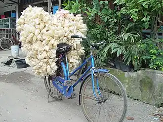 Cracker vender bicycle (sepeda karak) in North Jakarta, Indonesia