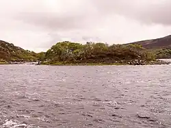 Unnamed micro island on Loch Veyatie