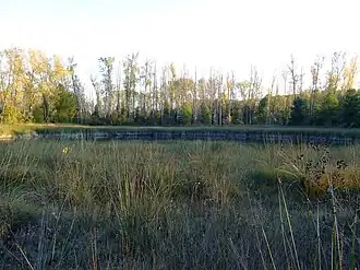 Looks like this Site of Community Interest has an image. Don't worry, you can take one of your own, and upload it too!