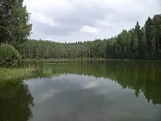 Lake Jõuga Pesujärv