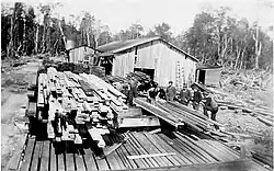 A sawmill at Bell Hill, possibly Jack Bros' Sawmill