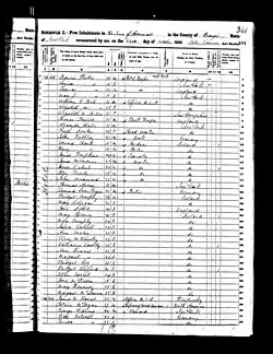 A black and white document with census data on it