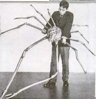 A Japanese spider crab whose outstretched legs measured 3.7 m (12 ft) across