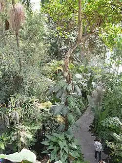 Path in interior of the "Jardin d'hiver" greenhouse