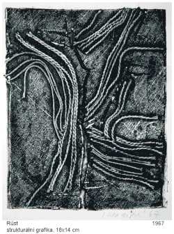 Growth (structural print), 18 x 14 cm, 1967