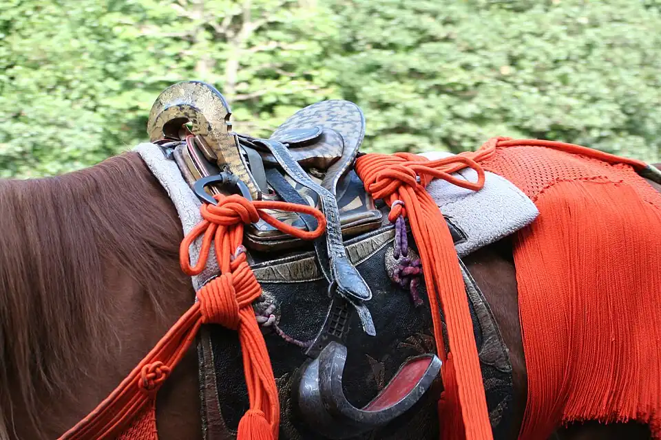 Abumi in use with a Japanese saddle (kura)