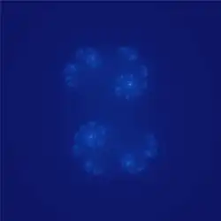 Julia set for fc, c = 0.45 + 0.1428i