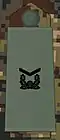 Staff Sergeant