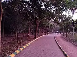 An Alley at Kadri Park in Mangaluru