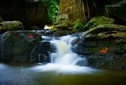 Kaeng Som Maew, a large stone islet in the Phachi River
