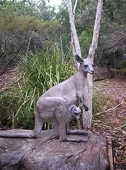 Kangaroo and joey sculpture at Queens Park in Ipswich, Queensland