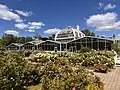 The rose garden with the greenhouse in 2025
