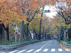 Keyaki Namiki Crossing