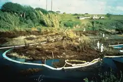 Oil stains river bank about ten feet above stream level. People in protective white suits have placed white absorbent boom to catch oil in stream.