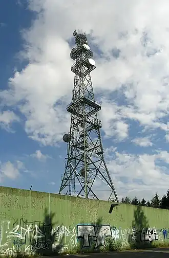 Transmission tower of the Kolbenberg