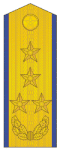 空军大将