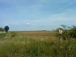 Koos Island Nature Reserve