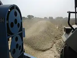 Kripekapura harvesting mustard farms
