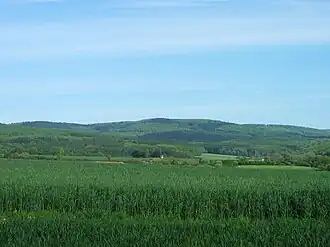 Kuhbett in the eastern Hintertaunus