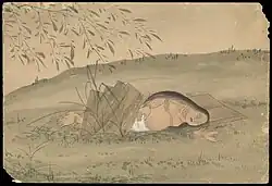 (3) Her body is left outside, and is subject to distension.