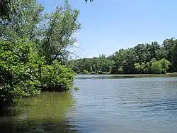 Calm lake surrounded by lush greenery